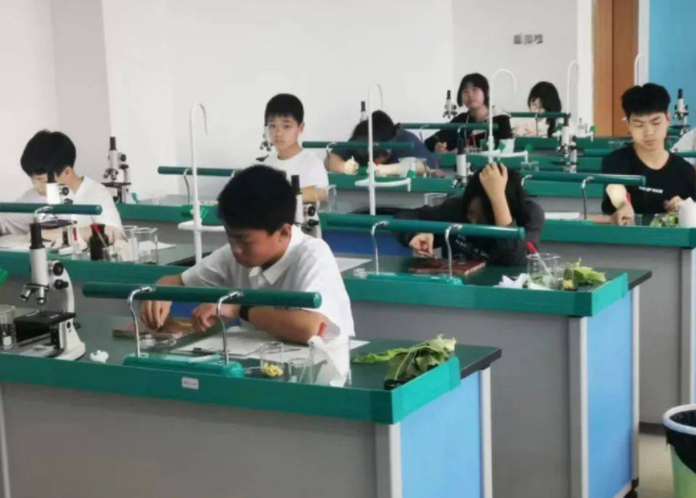 堅持五育并舉促進學生全面發展以教育質量的穩步提高人人成才